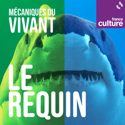 Mécaniques du vivant, saison 2 : Les Requins cover