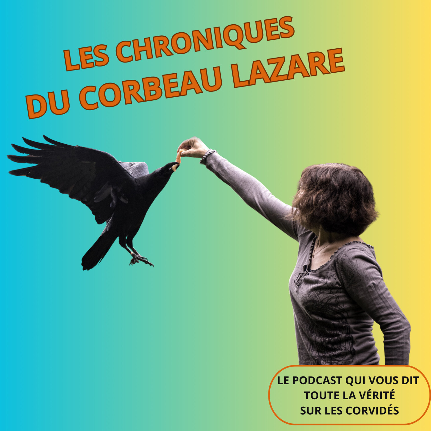 Les chroniques du corbeau Lazare