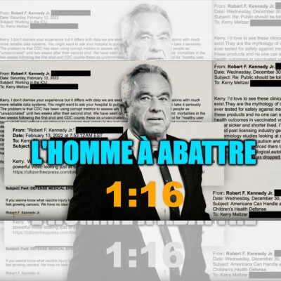 L'HOMME À ABATTRE cover