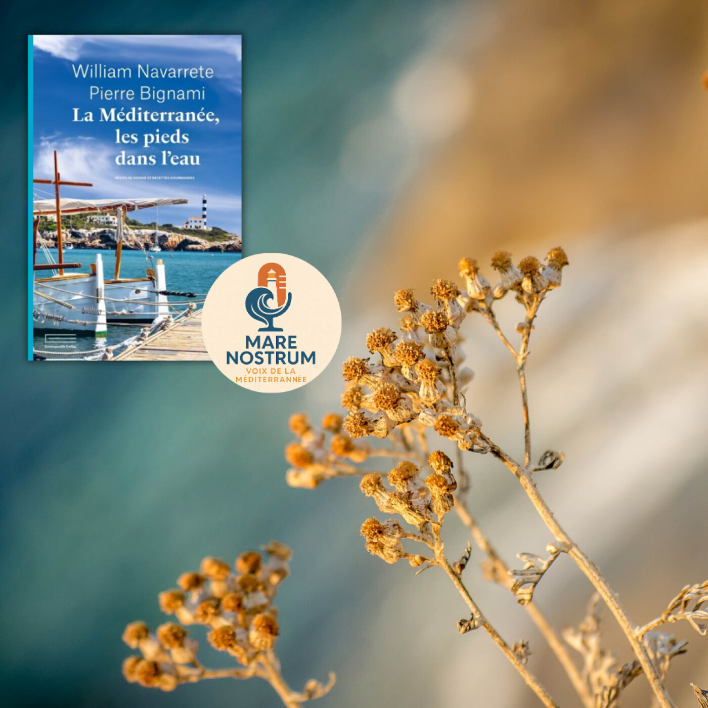 Mare Nostrum Littérature & Vies