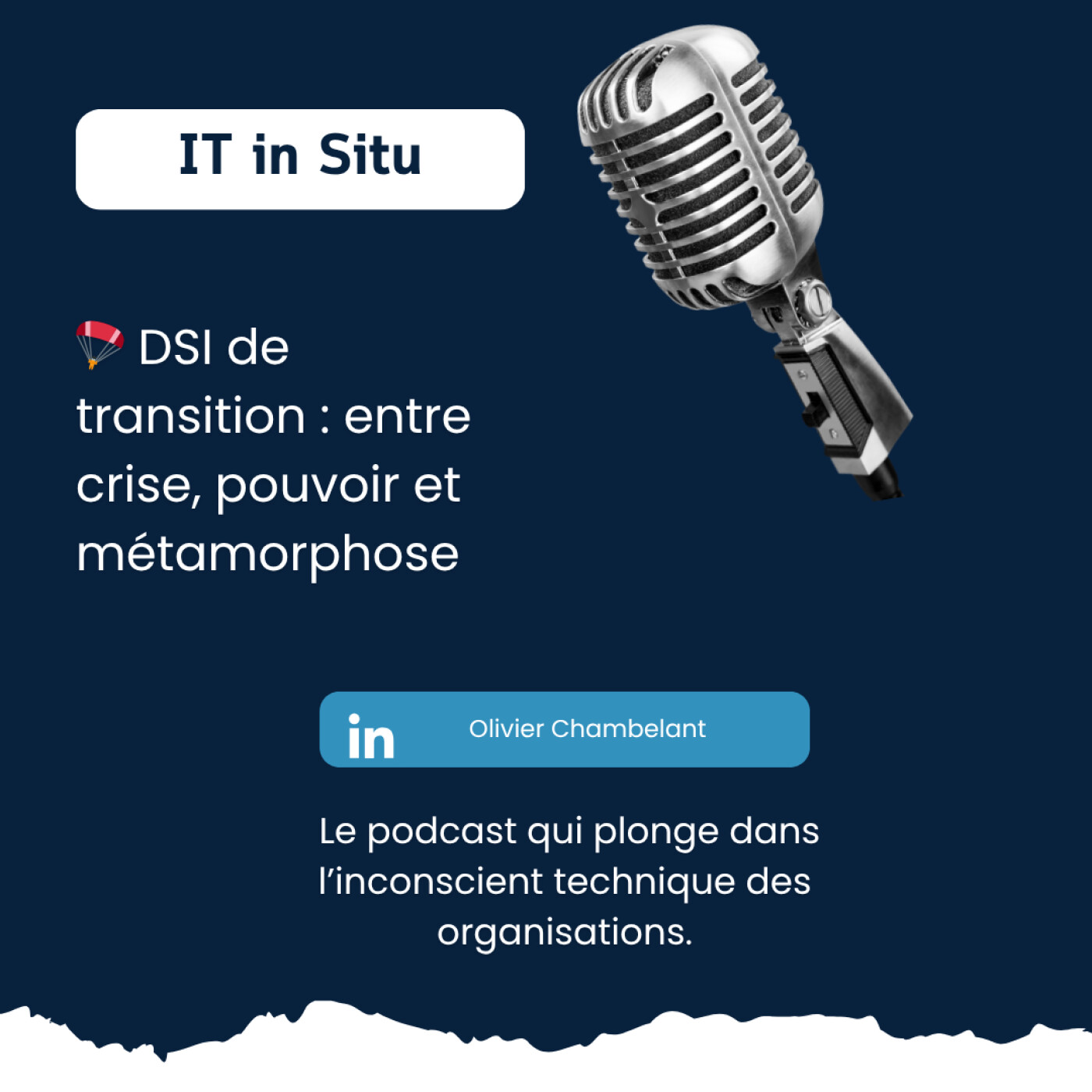 IT in Situ – Plongée dans l\'inconscient technique des organisations
