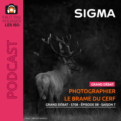 GRAND DÉBAT - S708 - Photographier le brame du cerf cover