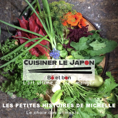 LES PETITES HISTOIRES DE MICHELLE - Le choix des aliments cover