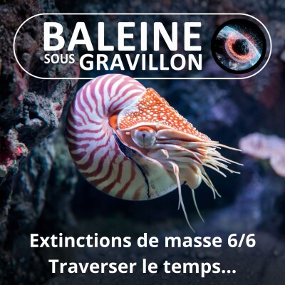 S03E19 Grandes extinctions de masse 6/6 : Dites "panchronique", pas "fossile vivant" (Sylvie Crasquin) cover