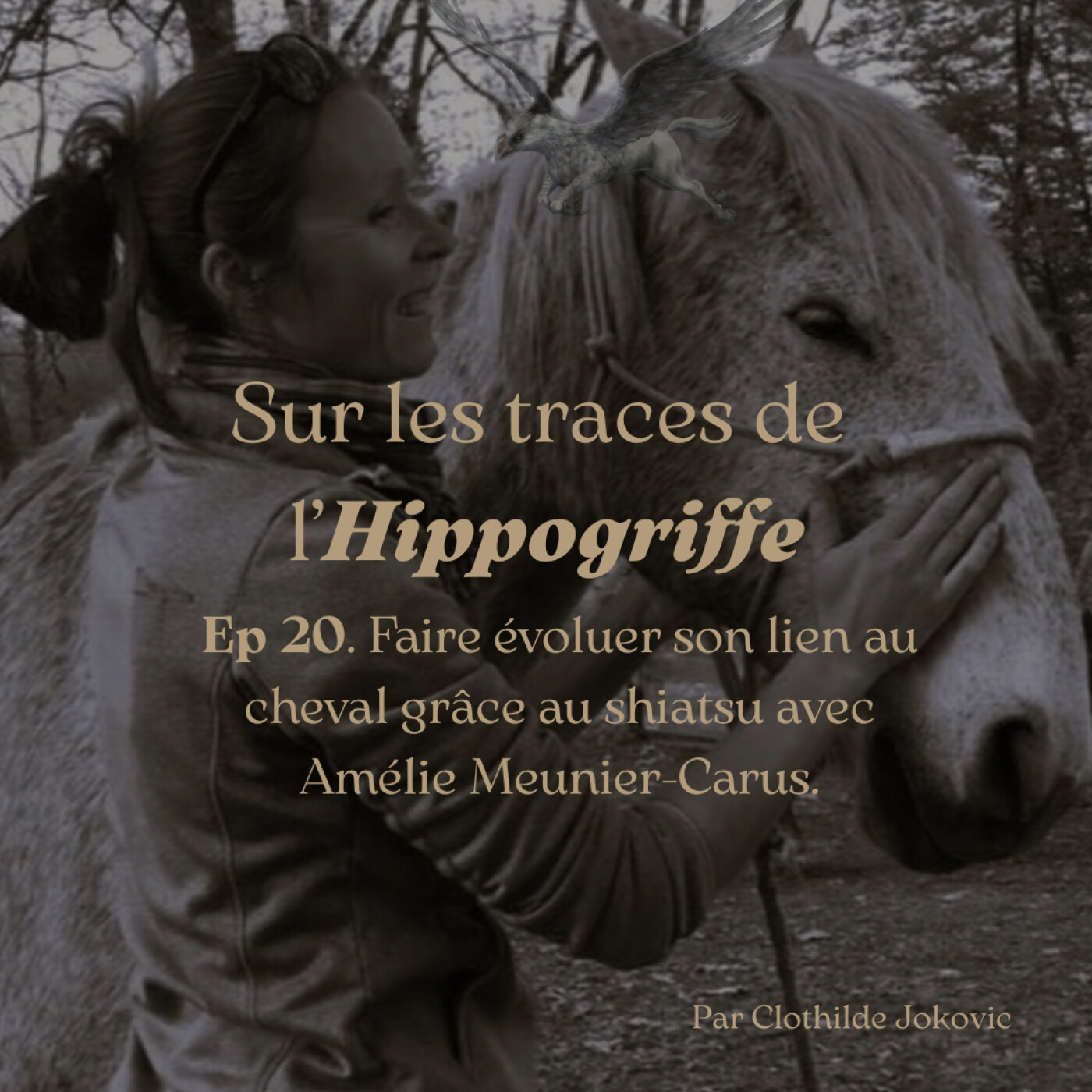 Sur les traces de l\'Hippogriffe