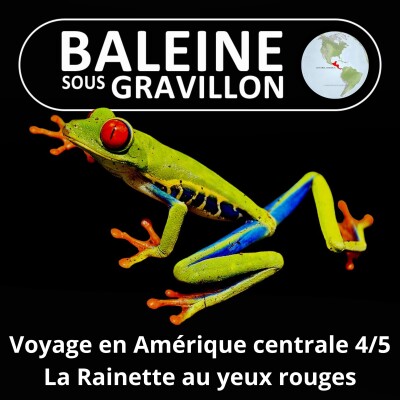 HORS-SÉRIE Ma traversée de l'Amérique centrale 4/5 : Le regard de la Rainette aux yeux rouges cover