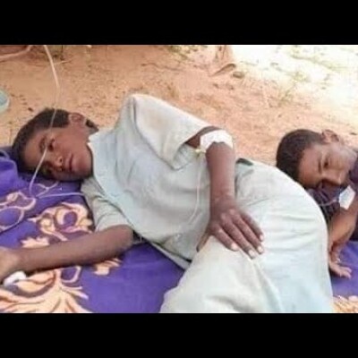 Plus de 100 morts et faillite des autorités : grave épidémie de la Malaria au sud de l'Algérie cover