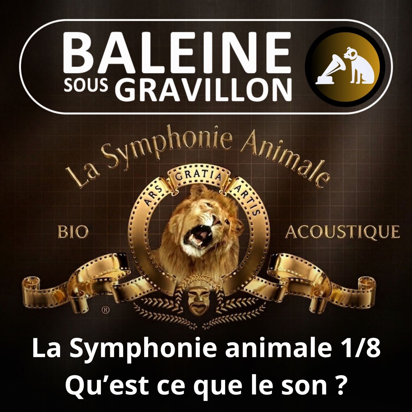 S02E117 La Symphonie animale 1/8 : Qu'est-ce que le son ? (Nicolas Mathevon) episode artwork
