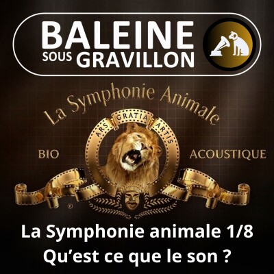 S02E117 La Symphonie animale 1/8 : Qu'est-ce que le son ? (Nicolas Mathevon, bioacousticien) cover