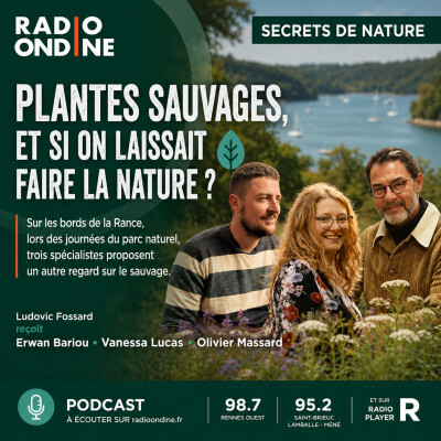 Plantes sauvages et si on laissait faire la nature ? cover