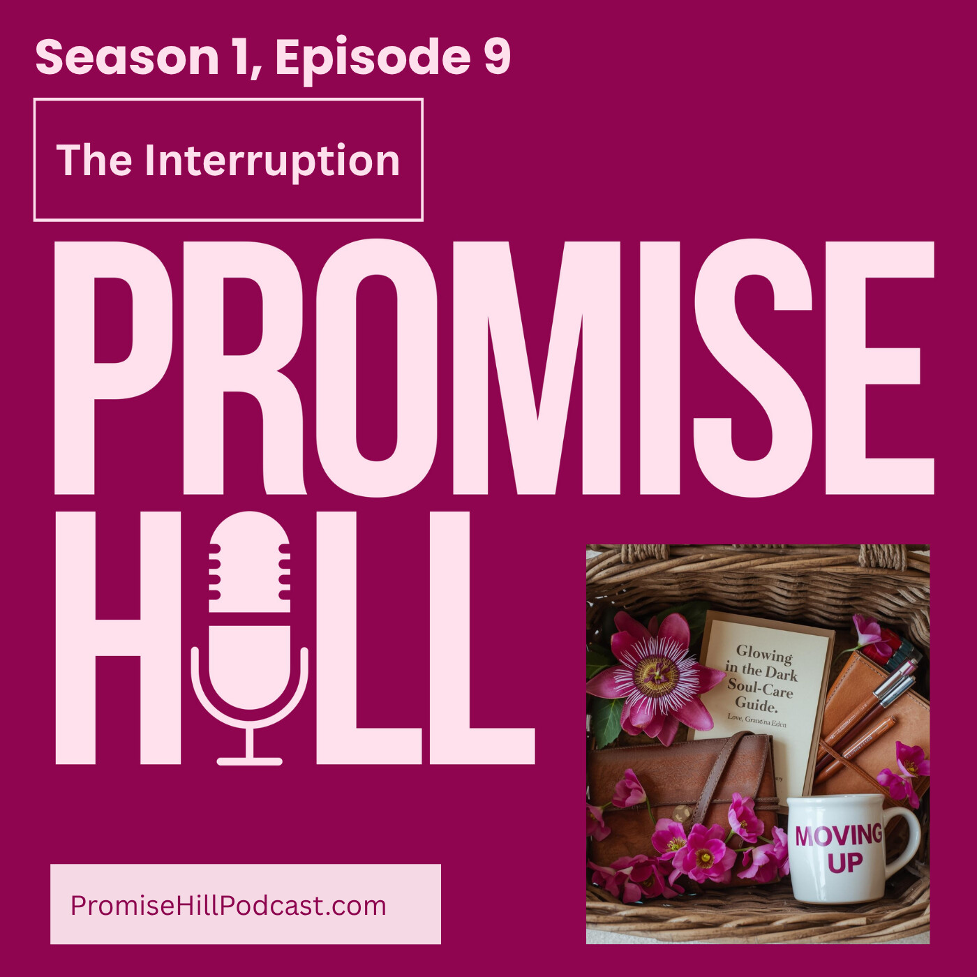 The Interruption, Season 1, episode 9