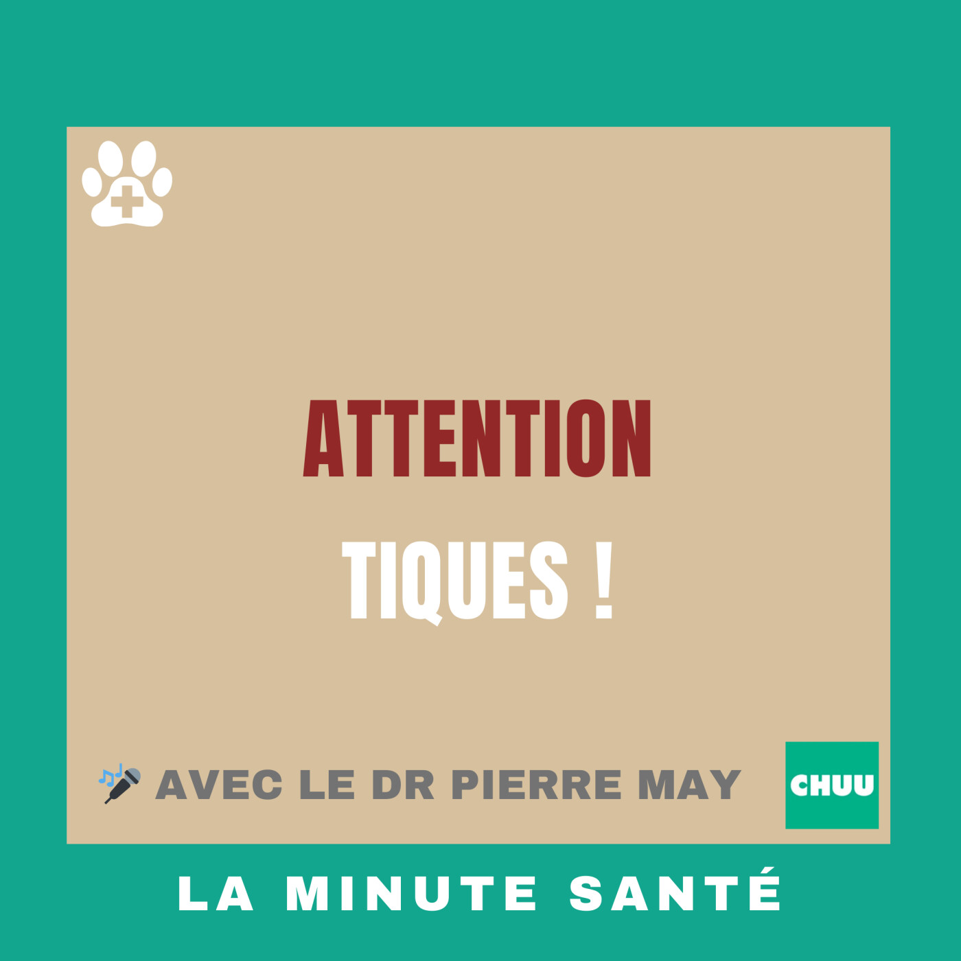 Quels sont les risques des tiques pour mon chien ? #LaMinuteSanté7