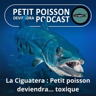 S01E46 La Ciguatera : Petit poisson deviendra... toxique cover
