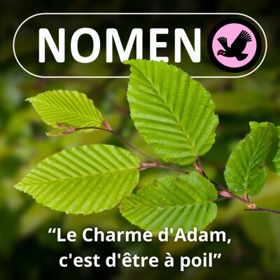 S02E32 Le Charme d'Adam c'est d'être à poil cover