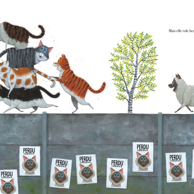 Le chat Léon va-t-il retrouver sa maison ? cover