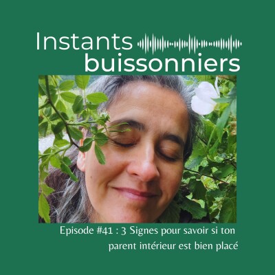 Episode 41 : 3 signes pour savoir si ton parent intérieur est bien placé cover