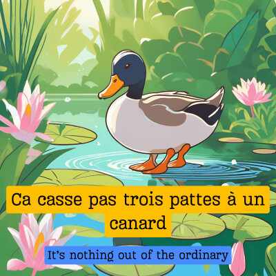 Ça casse pas trois pattes à un canard cover