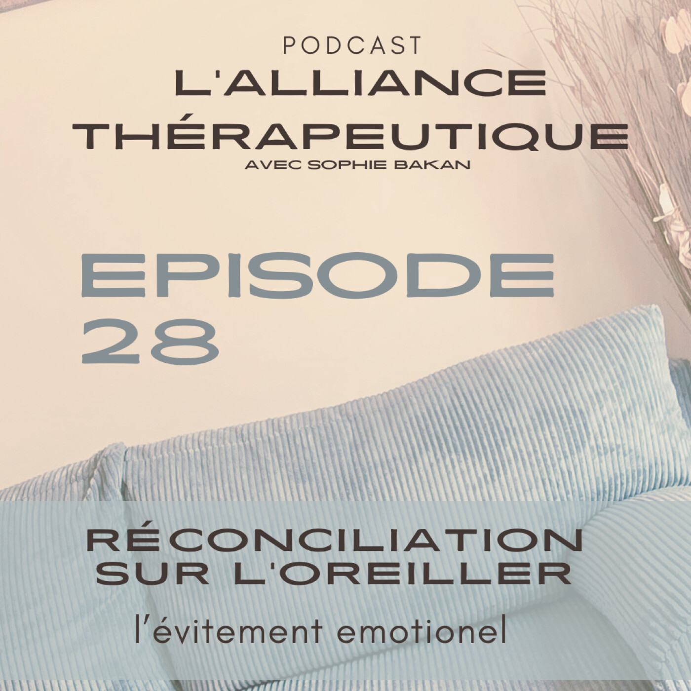 Réconciliation  sur l’oreiller : l’évitement émotionnel E28 episode artwork