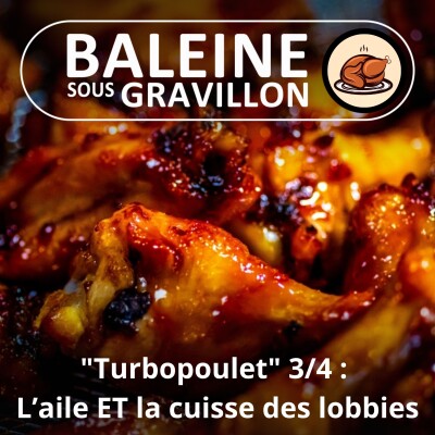 S05E65 Le "Turbopoulet" 3/4 : L'aile ET la cuisse des lobbies (Axelle Playoust-Braure) cover