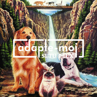 L'Incroyable Voyage cover
