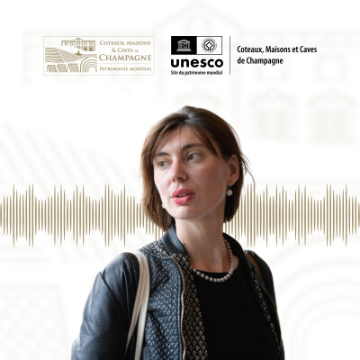 🎙️ Épisode 3 – Une exposition pour célébrer les 10 ans cover