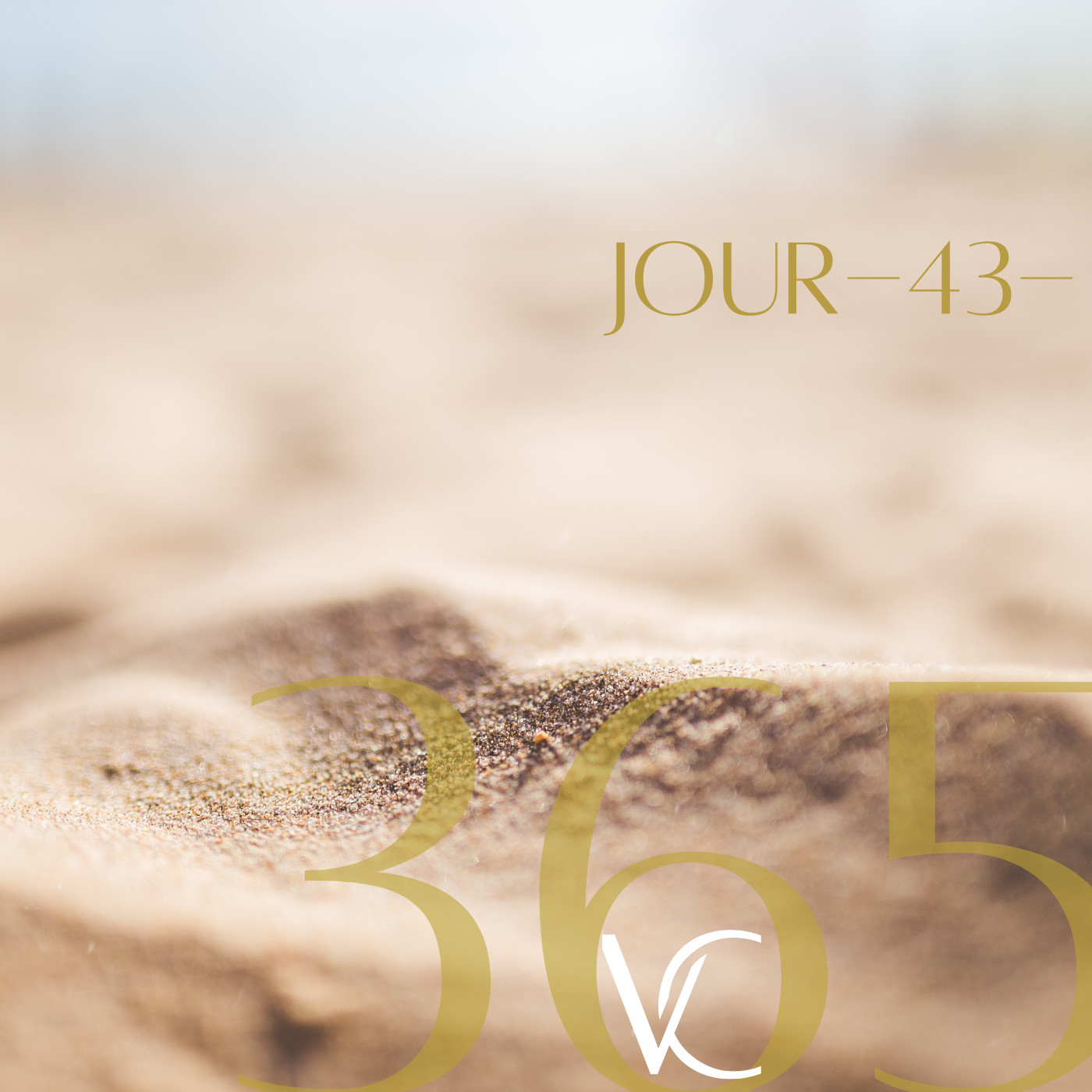 LIVE 365 by Valérie Carchi