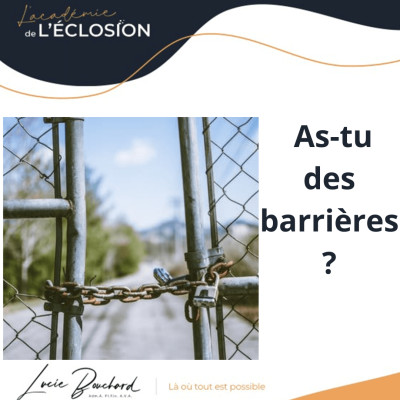 As-tu des BARRIERES ? -92 cover