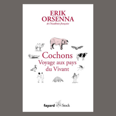 Erik Orsenna - Petit précis de mondialisation cover