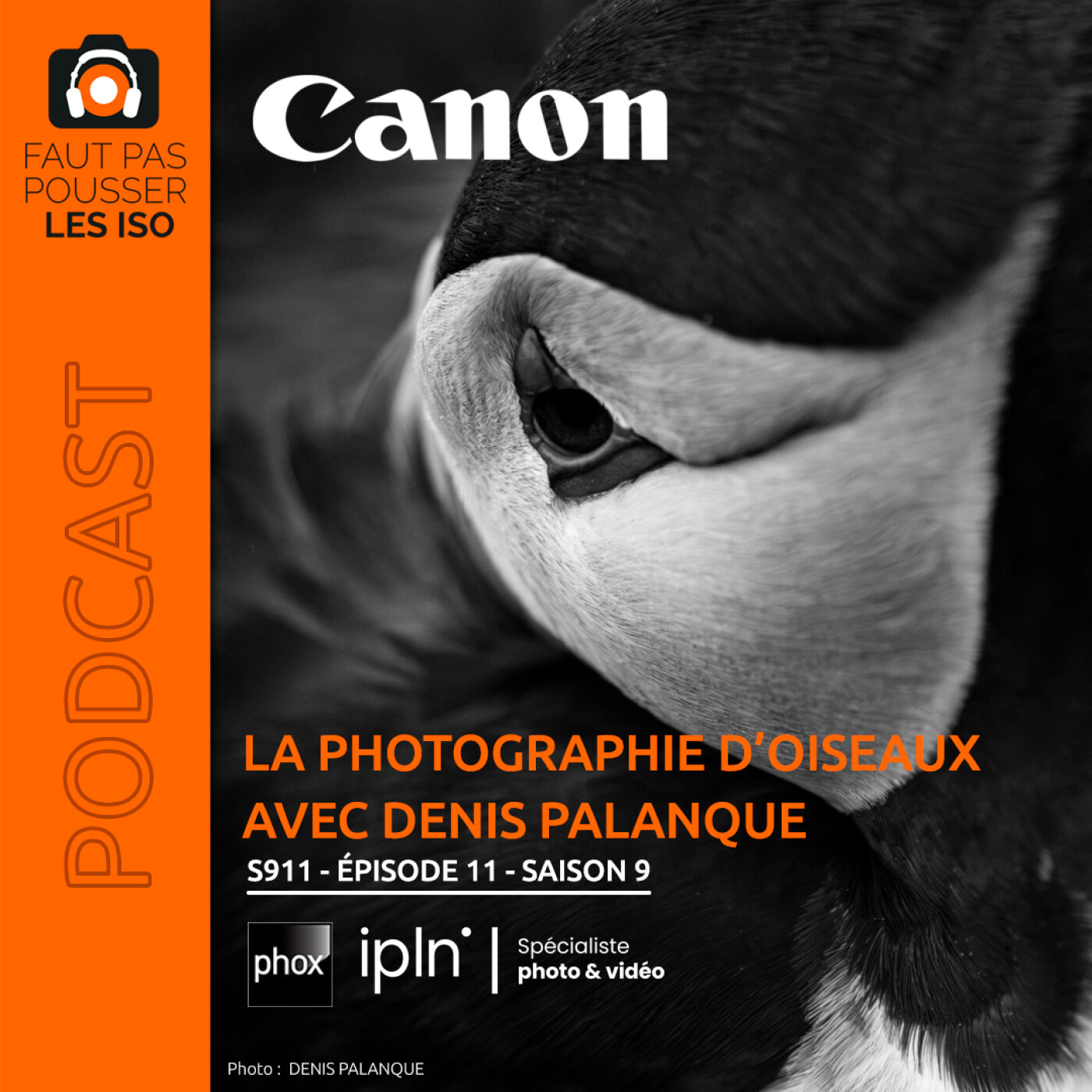 S911 - MASTERCLASS : PHOTOGRAPHIER LES OISEAUX