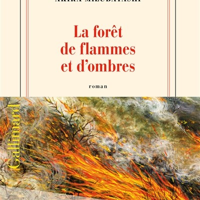 Akira Mizubayashi - La forêt de flammes et d'ombres cover
