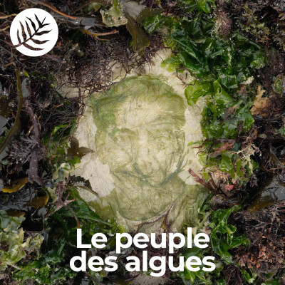 Le Peuple Des Algues : Tanguy Gauvin - Ep 2/10 cover