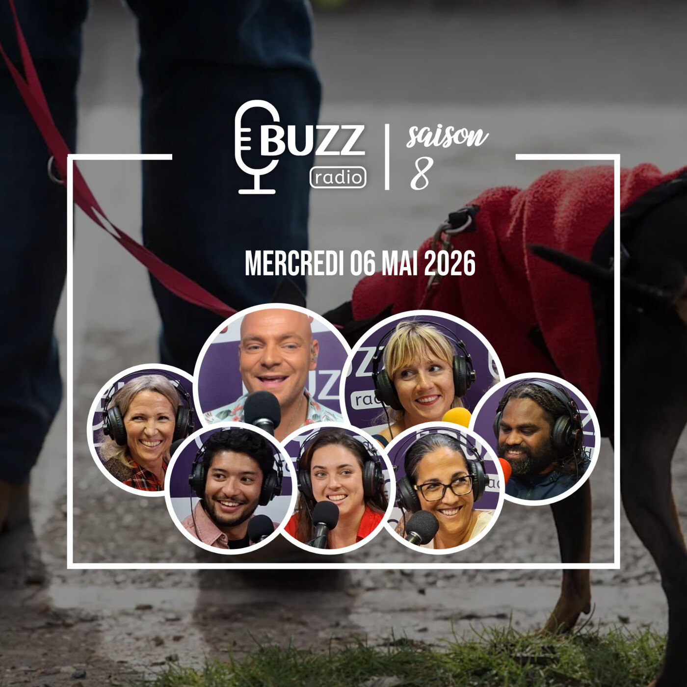 Mercredi 06/05/2026 - 500 euros d’amende à Livourne en Italie ? episode artwork