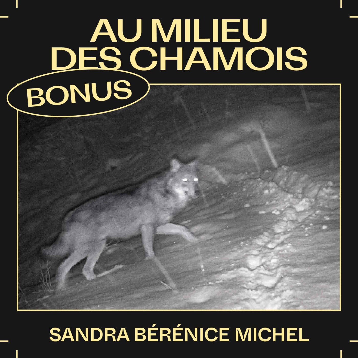 Bonus EP39 — Au milieu des chamois, avec Sandra Bérénice Michel