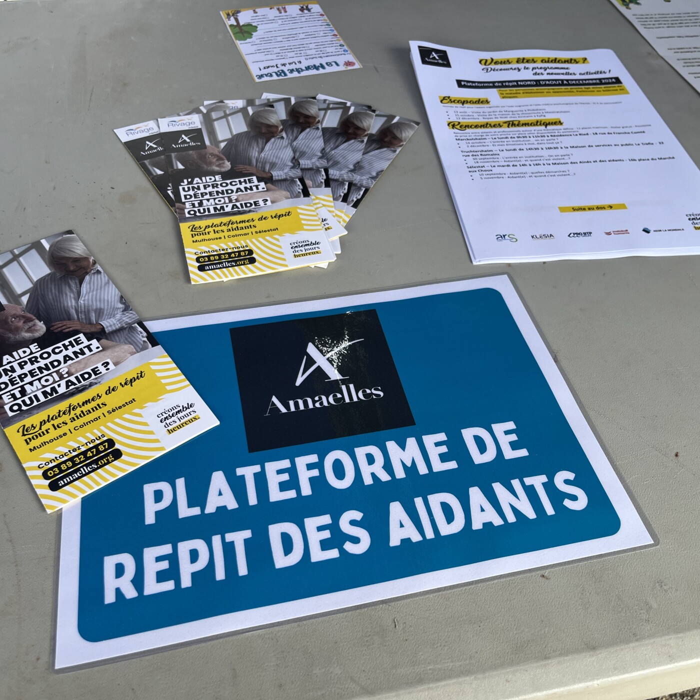 Marche bleue à Sélestat : Elodie Delbano et Françoise Schaal, de la plateforme de répit des aidants episode artwork