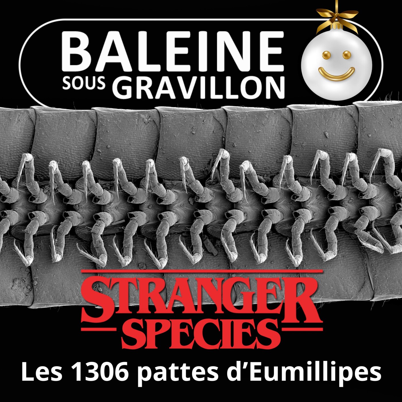 STRANGER SPECIES 11/12 : Le seul Mille-pattes... qui en a VRAIMENT plus de 1000 !