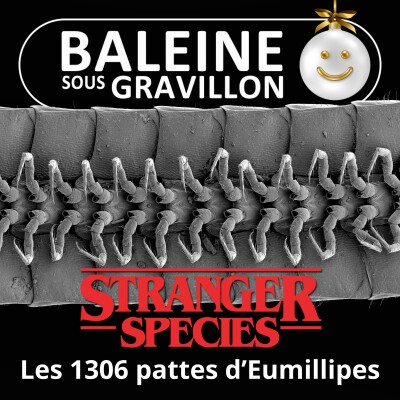STRANGER SPECIES 11/12 : Le seul Mille-pattes... qui en a VRAIMENT plus de 1000 ! cover