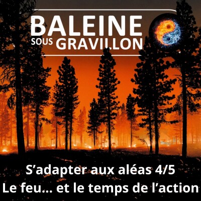 S08E04 S'adapter aux aléas 4/5 : Après les feux, le temps de l'action (Éric Daniel-Lacombe) cover