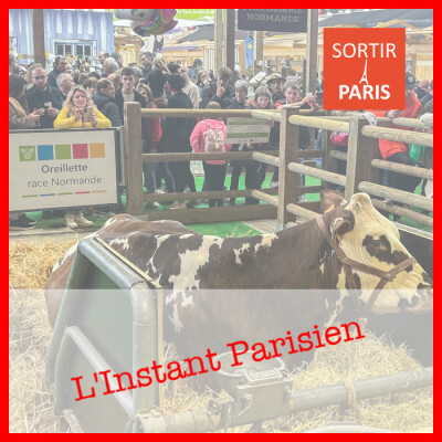 L'Instant Parisien, épisode 26 : Carnaval des Femmes et Salon de l'Agriculture cover