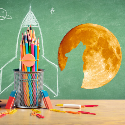 Le Cache-Cache Loup, un Jeu du Silence | Histoire de Prévention PPMS à l'École cover