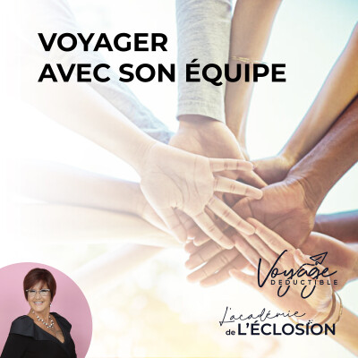 Voyager ✈️ avec son ÉQUIPE DE TRAVAIL cover