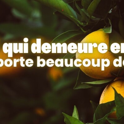 Parole et Évangile du jour | Mercredi 28 juin • Demeurez en moi cover