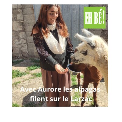 E08 - Avec Aurore les alpagas filent sur le Larzac cover