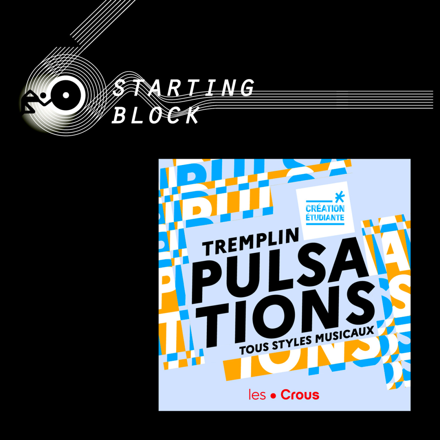 Tremplin PULSATIONS : les talents musicaux révélés à la grande finale episode artwork