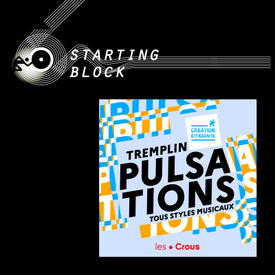 Tremplin PULSATIONS : les talents musicaux révélés à la grande finale cover