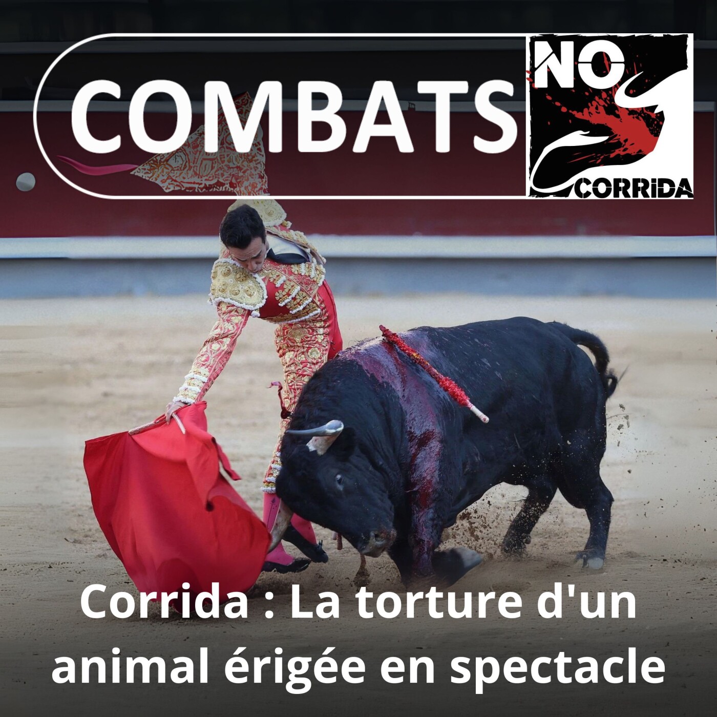 S01E01 Corrida : la torture d'un animal érigée en spectacle, Roger Lahana (No Corrida, FLAC)