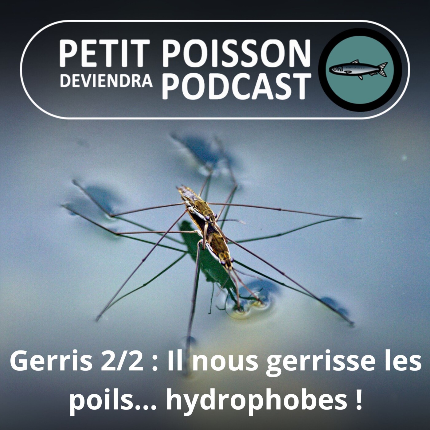 Petit Poisson deviendra Podcast