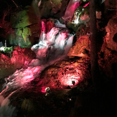 Neuviller-la-Roche : Un succès constant pour la marche « A l'affût des rois mages » cover