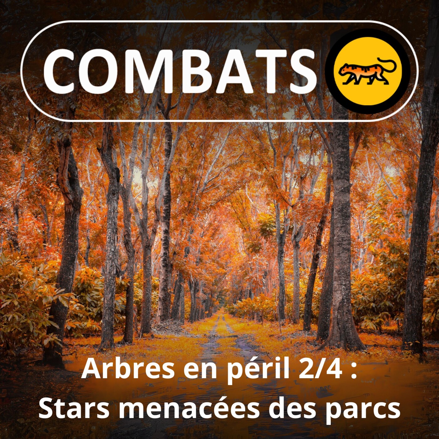 Combats