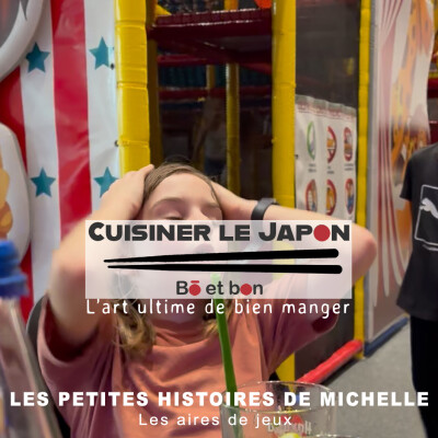LES PETITES HISTOIRES DE MICHELLE - Les aires de jeu cover