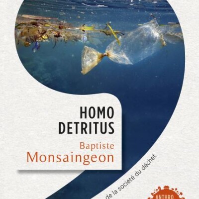 Homodetritus cover